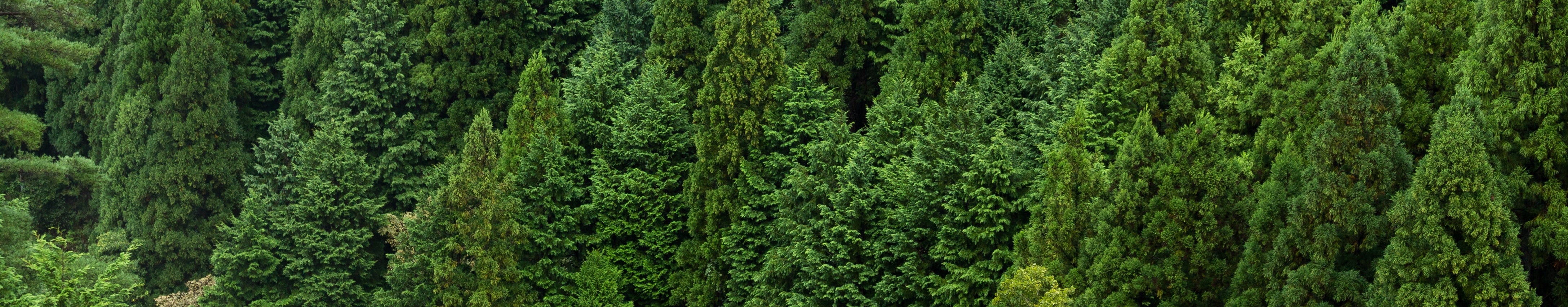 Auriculares deportivos sostenibles